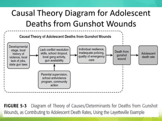 Causal Theory Diagram for Adolescent
Deaths from Gunshot Wounds
 