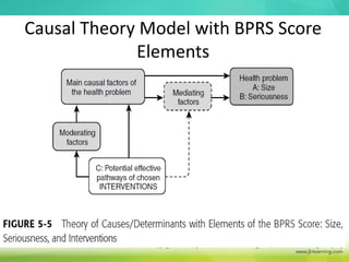 Causal Theory Model with BPRS Score
Elements
 