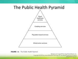 The Public Health Pyramid
 