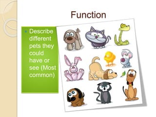 Function
 Describe
different
pets they
could
have or
see (Most
common)
 