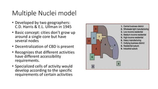 Multiple Nuclei model
• Developed by two geographers:
C.D. Harris & E.L. Ullman in 1945
• Basic concept: cities don’t grow up
around a single core but have
several nodes
• Decentralization of CBD is present
• Recognizes that different activities
have different accessibility
requirements.
• Specialized cells of activity would
develop according to the specific
requirements of certain activities
 