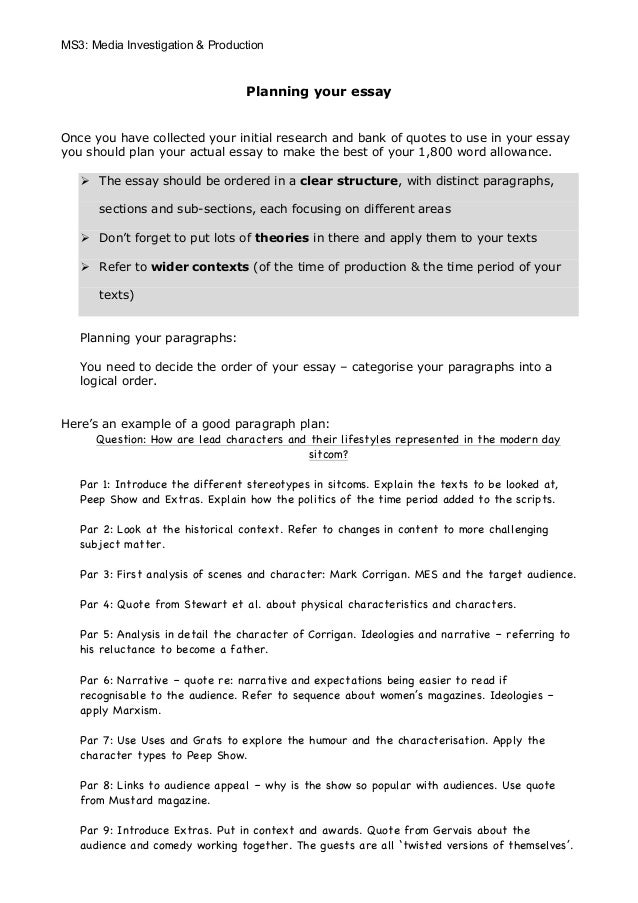 Investigative plan essay 07 image