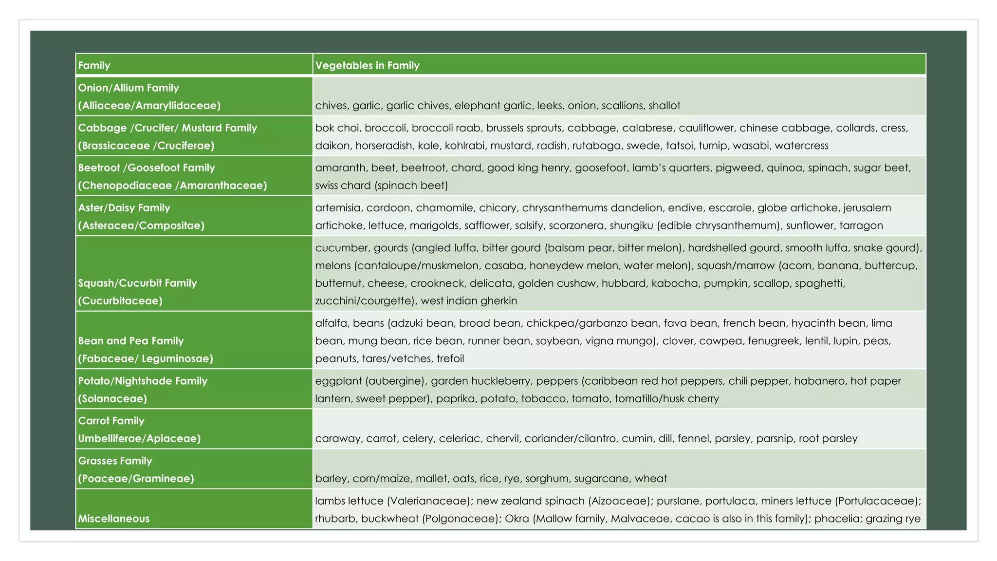 Getting To know your plants
• Alliums
• Brassicas
Family Vegetables in Family
Onion/Allium Family
(Alliaceae/Amaryllidaceae) chives, garlic, garlic chives, elephant garlic, leeks, onion, scallions, shallot
Cabbage /Crucifer/ Mustard Family
(Brassicaceae /Cruciferae)
bok choi, broccoli, broccoli raab, brussels sprouts, cabbage, calabrese, cauliflower, chinese cabbage, collards, cress,
daikon, horseradish, kale, kohlrabi, mustard, radish, rutabaga, swede, tatsoi, turnip, wasabi, watercress
Beetroot /Goosefoot Family
(Chenopodiaceae /Amaranthaceae)
amaranth, beet, beetroot, chard, good king henry, goosefoot, lamb‟s quarters, pigweed, quinoa, spinach, sugar beet,
swiss chard (spinach beet)
Aster/Daisy Family
(Asteracea/Compositae)
artemisia, cardoon, chamomile, chicory, chrysanthemums dandelion, endive, escarole, globe artichoke, jerusalem
artichoke, lettuce, marigolds, safflower, salsify, scorzonera, shungiku (edible chrysanthemum), sunflower, tarragon
Squash/Cucurbit Family
(Cucurbitaceae)
cucumber, gourds (angled luffa, bitter gourd (balsam pear, bitter melon), hardshelled gourd, smooth luffa, snake gourd),
melons (cantaloupe/muskmelon, casaba, honeydew melon, water melon), squash/marrow (acorn, banana, buttercup,
butternut, cheese, crookneck, delicata, golden cushaw, hubbard, kabocha, pumpkin, scallop, spaghetti,
zucchini/courgette), west indian gherkin
Bean and Pea Family
(Fabaceae/ Leguminosae)
alfalfa, beans (adzuki bean, broad bean, chickpea/garbanzo bean, fava bean, french bean, hyacinth bean, lima
bean, mung bean, rice bean, runner bean, soybean, vigna mungo), clover, cowpea, fenugreek, lentil, lupin, peas,
peanuts, tares/vetches, trefoil
Potato/Nightshade Family
(Solanaceae)
eggplant (aubergine), garden huckleberry, peppers (caribbean red hot peppers, chili pepper, habanero, hot paper
lantern, sweet pepper), paprika, potato, tobacco, tomato, tomatillo/husk cherry
Carrot Family
Umbelliferae/Apiaceae) caraway, carrot, celery, celeriac, chervil, coriander/cilantro, cumin, dill, fennel, parsley, parsnip, root parsley
Grasses Family
(Poaceae/Gramineae) barley, corn/maize, mallet, oats, rice, rye, sorghum, sugarcane, wheat
Miscellaneous
lambs lettuce (Valerianaceae); new zealand spinach (Aizoaceae); purslane, portulaca, miners lettuce (Portulacaceae);
rhubarb, buckwheat (Polgonaceae); Okra (Mallow family, Malvaceae, cacao is also in this family); phacelia; grazing rye
 