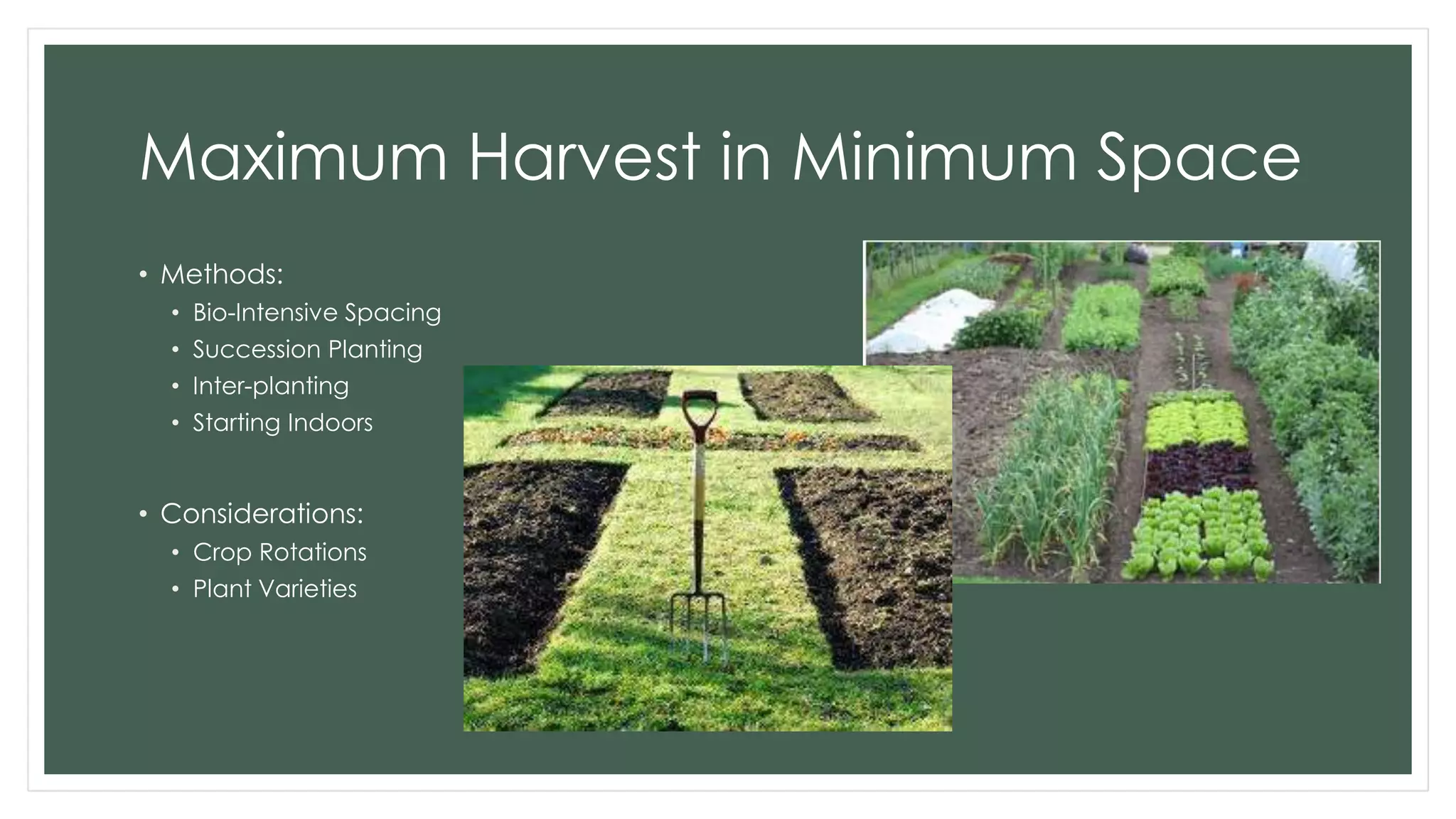 Maximum Harvest in Minimum Space
• Methods:
• Bio-Intensive Spacing
• Succession Planting
• Inter-planting
• Starting Indoors
• Considerations:
• Crop Rotations
• Plant Varieties
 