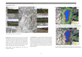 37
PROYECTO DE VIVIENDA SOCIAL Y REFORMA URBANA HABITACIONAL PARA LA LAGUNA DE SAN ANTONIO EN LA CIUDAD DE RIOBAMBA
IMÁGENES DEL LUGAR:
Realidad actual: Las principales acciones que afectan el medio natural
de la laguna son la agricultura y ganadería que se desarrolla en las orillas,
la acumulación de escombros o residuos sólidos y la descarga de aguas
servidas en la laguna; esto ocasiona que el agua contaminada se
mantenga en las orillas de la laguna, afectando a las especies que allí
habitan, cubriendo de excesiva totora que no permite observar el espejo
de agua, y que genera olores fuertes nocivos para las personas.
Según (Naranjo, Tesis Ing. Ambiental UCE, 2013, pág. 153)
encontramos lo siguiente:
“Conclusión general: La Laguna San Antonio de Padua es un cuerpo de
agua de 4,7 Ha. y un perímetro de 1163m, que se encuentra ubicada en
la Región Sierra Central Ecuatoriana, pertenece a una cuenca endorreica,
que su principal aporte de agua proviene del subsuelo; la calidad del agua
se encuentra alterada, específicamente por la presencia de coliformes
fecales y residuos sólidos. Es un espacio natural que contiene una riqueza
de fauna y específicamente una especie endémica que se encuentra en
peligro de extinción.”
Mapa 14 Fotografías del lugar, fuente: Autor TDG Esteban Cáceres
Mapa 15 Área de influencia, fuente: Margarita Naranjo 2013 Tesis: Diseño de un plan de manejo integral para la
recuperación de la laguna de san Antonio de Padua de la ciudad de Riobamba y su área de influencia directa, pág. 37
Mapa 16 Área de influencia, fuente: Margarita Naranjo 2013 Tesis: Diseño de un plan de manejo integral para la
recuperación de la laguna de san Antonio de Padua de la ciudad de Riobamba y su área de influencia directa, pág. 38
 