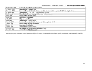 Plano De Actividades 2008 2009