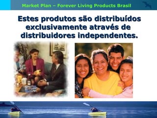 Estes produtos são distribuídos  exclusivamente através de  distribuidores independentes. Market Plan – Forever Living Products Brasil 