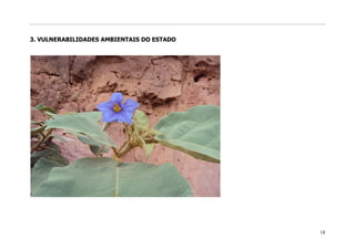 3. VULNERABILIDADES AMBIENTAIS DO ESTADO




                                           18
 
