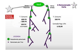 Semana  Vermelha T. Consumo 600 PV T. Consumo 500 PV Comissão Paga 10% $ 50,00 - 500 PV 100 PV acumulado 