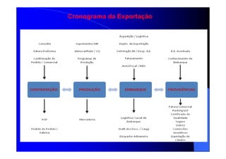 Cronograma da Exportação
 