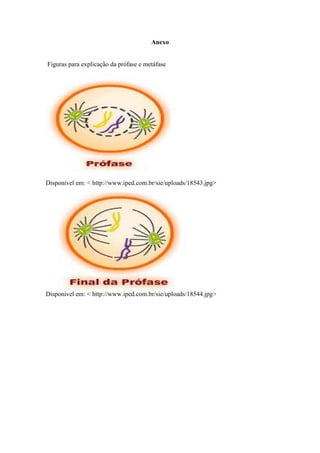 Anexo


Figuras para explicação da prófase e metáfase




Disponível em: < http://www.iped.com.br/sie/uploads/18543.jpg>




Disponível em: < http://www.iped.com.br/sie/uploads/18544.jpg>
 