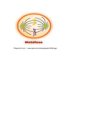 Disponível em: < www.iped.com.br/sie/uploads/18545.jpg>
 