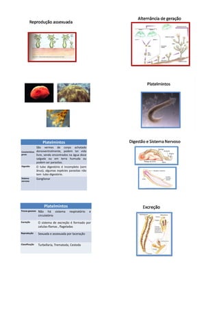 Platelmintos
                  São vermes de corpo achatado
Características   dorsoventralmente, podem ter vida
gerais            livre, sendo encontrados na água doce
                  salgada ou em terra humuda ou
                  podem ser parasitas.
Digestão          O tubo digestório é incompleto (sem
                  ânus); algumas espécies parasitas não
                  tem tubo digestório.
Sistema           Ganglionar
nervoso




                       Platelmintos
Trocas gasosas     Não há sistema         respiratório    e
                   circulatório
Excreção           O sistema de excreção é formado por
                   celulas-flamas , flageladas
Reprodução         Sexuada e assexuada por laceração


Classificação      Turbellaria, Trematoda, Cestoda
 