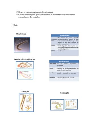 12) Descreva o sistema circulatório dos artrópodes.
   13) Cite três motivos pelos quais consideramos os equinodermas evolutivamente
       mais próximos dos cordados.



Slides



                                                                         Platelmintos
                                                                     São vermes de corpo achatado
                                                   Características   dorsoventralmente, podem ter vida
                                                   gerais            livre, sendo encontrados na água doce
                                                                     salgada ou em terra humuda ou
                                                                     podem ser parasitas.
                                                   Digestão          O tubo digestório é incompleto (sem
                                                                     ânus); algumas espécies parasitas não
                                                                     tem tubo digestório.
                                                   Sistema           Ganglionar
                                                   nervoso




                                                                       Platelmintos
                                               Trocas gasosas    Não há sistema           respiratório   e
                                                                 circulatório
                                               Excreção          O sistema de excreção é formado por
                                                                 celulas-flamas , flageladas
                                               Reprodução        Sexuada e assexuada por laceração


                                               Classificação     Turbellaria, Trematoda, Cestoda
 
