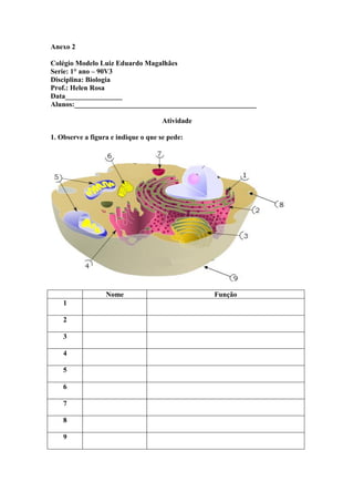 Anexo 2

Colégio Modelo Luiz Eduardo Magalhães
Serie: 1° ano – 90V3
Disciplina: Biologia
Prof.: Helen Rosa
Data________________
Alunos:___________________________________________________

                                     Atividade

1. Observe a figura e indique o que se pede:




                  Nome                           Função
    1

    2

    3

    4

    5

    6

    7

    8

    9
 