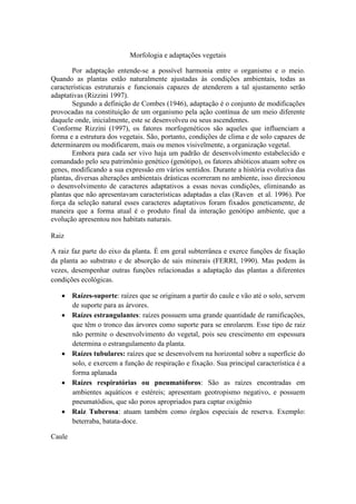 Morfologia e adaptações vegetais

       Por adaptação entende-se a possível harmonia entre o organismo e o meio.
Quando as plantas estão naturalmente ajustadas às condições ambientais, todas as
características estruturais e funcionais capazes de atenderem a tal ajustamento serão
adaptativas (Rizzini 1997).
       Segundo a definição de Combes (1946), adaptação é o conjunto de modificações
provocadas na constituição de um organismo pela ação contínua de um meio diferente
daquele onde, inicialmente, este se desenvolveu ou seus ascendentes.
 Conforme Rizzini (1997), os fatores morfogenéticos são aqueles que influenciam a
forma e a estrutura dos vegetais. São, portanto, condições de clima e de solo capazes de
determinarem ou modificarem, mais ou menos visivelmente, a organização vegetal.
       Embora para cada ser vivo haja um padrão de desenvolvimento estabelecido e
comandado pelo seu patrimônio genético (genótipo), os fatores abióticos atuam sobre os
genes, modificando a sua expressão em vários sentidos. Durante a história evolutiva das
plantas, diversas alterações ambientais drásticas ocorreram no ambiente, isso direcionou
o desenvolvimento de caracteres adaptativos a essas novas condições, eliminando as
plantas que não apresentavam características adaptadas a elas (Raven et al. 1996). Por
força da seleção natural esses caracteres adaptativos foram fixados geneticamente, de
maneira que a forma atual é o produto final da interação genótipo ambiente, que a
evolução apresentou nos habitats naturais.

Raiz

A raiz faz parte do eixo da planta. É em geral subterrânea e exerce funções de fixação
da planta ao substrato e de absorção de sais minerais (FERRI, 1990). Mas podem às
vezes, desempenhar outras funções relacionadas a adaptação das plantas a diferentes
condições ecológicas.

        Raízes-suporte: raízes que se originam a partir do caule e vão até o solo, servem
        de suporte para as árvores.
        Raízes estrangulantes: raízes possuem uma grande quantidade de ramificações,
        que têm o tronco das árvores como suporte para se enrolarem. Esse tipo de raiz
        não permite o desenvolvimento do vegetal, pois seu crescimento em espessura
        determina o estrangulamento da planta.
        Raízes tubulares: raízes que se desenvolvem na horizontal sobre a superfície do
        solo, e exercem a função de respiração e fixação. Sua principal característica é a
        forma aplanada
        Raízes respiratórias ou pneumatóforos: São as raízes encontradas em
        ambientes aquáticos e estéreis; apresentam geotropismo negativo, e possuem
        pneumatódios, que são poros apropriados para captar oxigênio
        Raiz Tuberosa: atuam também como órgãos especiais de reserva. Exemplo:
        beterraba, batata-doce.

Caule
 