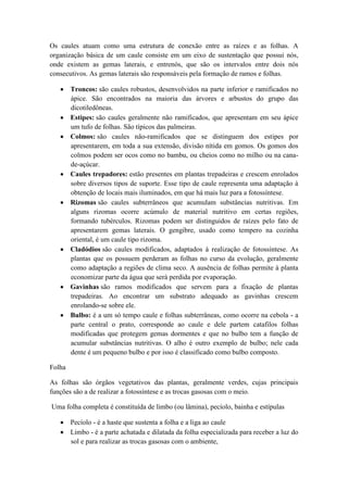 Os caules atuam como uma estrutura de conexão entre as raízes e as folhas. A
organização básica de um caule consiste em um eixo de sustentação que possui nós,
onde existem as gemas laterais, e entrenós, que são os intervalos entre dois nós
consecutivos. As gemas laterais são responsáveis pela formação de ramos e folhas.

        Troncos: são caules robustos, desenvolvidos na parte inferior e ramificados no
        ápice. São encontrados na maioria das árvores e arbustos do grupo das
        dicotiledôneas.
        Estipes: são caules geralmente não ramificados, que apresentam em seu ápice
        um tufo de folhas. São típicos das palmeiras.
        Colmos: são caules não-ramificados que se distinguem dos estipes por
        apresentarem, em toda a sua extensão, divisão nítida em gomos. Os gomos dos
        colmos podem ser ocos como no bambu, ou cheios como no milho ou na cana-
        de-açúcar.
        Caules trepadores: estão presentes em plantas trepadeiras e crescem enrolados
        sobre diversos tipos de suporte. Esse tipo de caule representa uma adaptação à
        obtenção de locais mais iluminados, em que há mais luz para a fotossíntese.
        Rizomas são caules subterrâneos que acumulam substâncias nutritivas. Em
        alguns rizomas ocorre acúmulo de material nutritivo em certas regiões,
        formando tubérculos. Rizomas podem ser distinguidos de raízes pelo fato de
        apresentarem gemas laterais. O gengibre, usado como tempero na cozinha
        oriental, é um caule tipo rizoma.
        Cladódios são caules modificados, adaptados à realização de fotossíntese. As
        plantas que os possuem perderam as folhas no curso da evolução, geralmente
        como adaptação a regiões de clima seco. A ausência de folhas permite à planta
        economizar parte da água que será perdida por evaporação.
        Gavinhas são ramos modificados que servem para a fixação de plantas
        trepadeiras. Ao encontrar um substrato adequado as gavinhas crescem
        enrolando-se sobre ele.
        Bulbo: é a um só tempo caule e folhas subterrâneas, como ocorre na cebola - a
        parte central o prato, corresponde ao caule e dele partem catafilos folhas
        modificadas que protegem gemas dormentes e que no bulbo tem a função de
        acumular substâncias nutritivas. O alho é outro exemplo de bulbo; nele cada
        dente é um pequeno bulbo e por isso é classificado como bulbo composto.

Folha

As folhas são órgãos vegetativos das plantas, geralmente verdes, cujas principais
funções são a de realizar a fotossíntese e as trocas gasosas com o meio.

Uma folha completa é constituída de limbo (ou lâmina), pecíolo, bainha e estípulas

        Pecíolo - é a haste que sustenta a folha e a liga ao caule
        Limbo - é a parte achatada e dilatada da folha especializada para receber a luz do
        sol e para realizar as trocas gasosas com o ambiente,
 