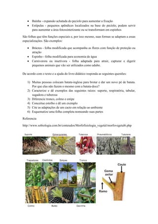 Baínha - expansão achatada do pecíolo para aumentar a fixação
       Estípulas - pequenos apêndices localizados na base do pecíolo, podem servir
       para aumentar a área fotossintetizante ou se transformam em espinhos

São folhas que têm funções especiais e, por isso mesmo, suas formas se adaptam a essas
especializações. São exemplos:

       Bráctea - folha modificada que acompanha as flores com função de proteção ou
       atração
       Espinho - folha modificada para economia de água
       Carnívorora ou insetívora - folha adaptada para atrair, capturar e digerir
       pequenos animais que vão ser utilizados como adubo.

De acordo com o texto e a ajuda do livro didático responda as seguintes questões:

   1) Muitas pessoas colocam batata-inglesa para brotar e dar um novo pé de batata.
      Por que elas não fazem o mesmo com a batata-doce?
   2) Caracterize e dê exemplos das seguintes raízes: suporte, respiratória, tabular,
      sugadora e tuberosa
   3) Diferencie tronco, colmo e estipe
   4) Conceitue estolho e dê um exemplo
   5) Cite as adaptações de um cacto em relação ao ambiente
   6) Esquematize uma folha completa nomeando suas partes

Referencia

http://www.sobiologia.com.br/conteudos/Morfofisiologia_vegetal/morfovegetal6.php
 