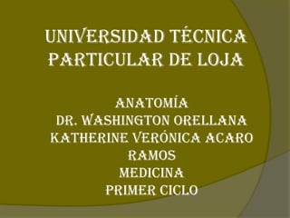 Universidad Técnica Particular de Loja Anatomía Dr. Washington Orellana Katherine Verónica Acaro Ramos Medicina  Primer ciclo  