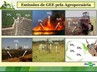 Emissões de GEE pela Agropecuária

                            CO2
 CH4    CO2     N2O
                                    N2O   CO2
                      CH4
                                                N2O




       CO2                   CH4
                                   CO2
                                           CH4
               N2O                                CH4
CH4
                                            CH4
                                                  CH4
 