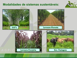 Modalidades de sistemas sustentáveis:




     SAF’s                      Lavoura-Floresta




             Lavoura-Pecuária              Rec. Pastagem
 