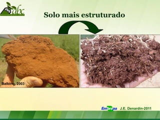 Solo mais estruturado




Balbino, 2003




                                   J.E. Denardin-2011
 