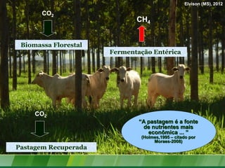 Elvison (MS), 2012

       CO2
                             CH4


 Biomassa Florestal
                      Fermentação Entérica




     CO2
                              “A pastagem é a fonte
                               de nutrientes mais
                                 econômica ... ”
                              (Holmes,1995 – citado por
                                   Moraes-2008)
Pastagem Recuperada
 