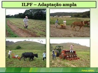 ILPF – Adaptação ampla




                         Fotos APDC
 