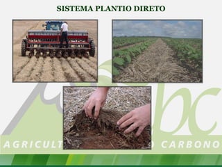SISTEMA PLANTIO DIRETO
 
