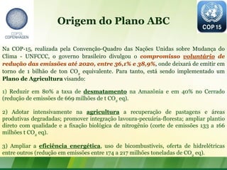 Origem do Plano ABC

Na COP-15, realizada pela Convenção-Quadro das Nações Unidas sobre Mudança do
Clima - UNFCCC, o governo brasileiro divulgou o compromisso voluntário de
redução das emissões até 2020, entre 36,1% e 38,9%, onde deixará de emitir em
torno de 1 bilhão de ton CO2 equivalente. Para tanto, está sendo implementado um
Plano de Agricultura visando:

1) Reduzir em 80% a taxa de desmatamento na Amazônia e em 40% no Cerrado
(redução de emissões de 669 milhões de t CO2 eq).

2) Adotar intensivamente na agricultura a recuperação de pastagens e áreas
produtivas degradadas; promover integração lavoura-pecuária-floresta; ampliar plantio
direto com qualidade e a fixação biológica de nitrogênio (corte de emissões 133 a 166
milhões t CO2 eq).

3) Ampliar a eficiência energética, uso de bicombustíveis, oferta de hidrelétricas
entre outros (redução em emissões entre 174 a 217 milhões toneladas de CO2 eq).
 
