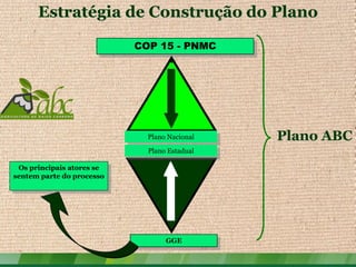 Estratégia de Construção do Plano

                           COP 15 - PNMC




                             Plano Nacional   Plano ABC
                             Plano Estadual

 Os principais atores se
sentem parte do processo




                                  GGE
 