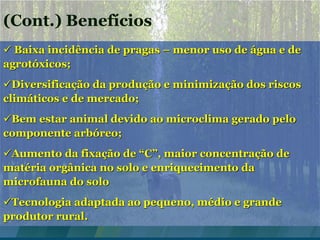 (Cont.) Benefícios
 Baixa incidência de pragas – menor uso de água e de
agrotóxicos;
Diversificação da produção e minimização dos riscos
climáticos e de mercado;
Bem estar animal devido ao microclima gerado pelo
componente arbóreo;
Aumento da fixação de “C”, maior concentração de
matéria orgânica no solo e enriquecimento da
microfauna do solo
Tecnologia adaptada ao pequeno, médio e grande
produtor rural.
 