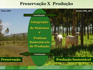 Preservação X Produção
Vilela, 2005                                   Elvison (MS), 2012

                     Contribuição


                   Integração
                   de Sistemas
                         e
                     Práticas
                   Sustentáveis
                   de Produção

                     Contribuição


Preservação                         Produção Sustentável
 