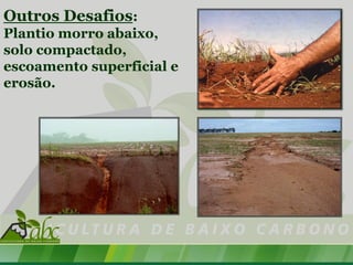 Outros Desafios:
Plantio morro abaixo,
solo compactado,
escoamento superficial e
erosão.
 