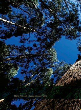 Plano Agrícola e Pecuário 2012 / 2013
 