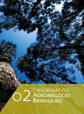 02
     Panorama do
     Agronegócio
     Brasileiro
 