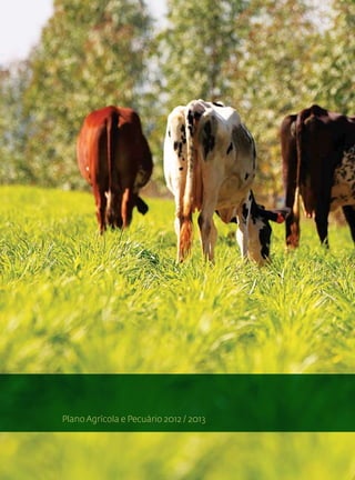 Plano Agrícola e Pecuário 2012 / 2013
 