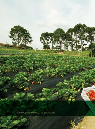 Plano Agrícola e Pecuário 2012 / 2013



Plano Agrícola e Pecuário 2012 / 2013
 