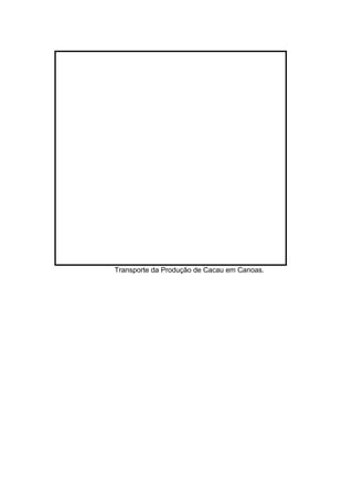 Tr Transporte da Produção de Cacau em Canoas.
 