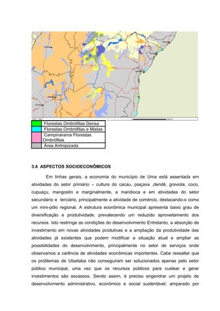 Florestas Ombrófilas Densa
Florestas Ombrófilas e Mistas
Campinarama Florestas
Ombrófilas
Área Antropizada
3.4 ASPECTOS SOCIOECONÔMICOS
Em linhas gerais, a economia do município de Uma está assentada em
atividades do setor primário – cultura do cacau, piaçava ,dendê, graviola, coco,
cupuaçu, mangostin e marginalmente, a mandioca e em atividades do setor
secundário e terciário, principalmente a atividade de comércio, destacando-o como
um mini-pólo regional. A estrutura econômica municipal apresenta baixo grau de
diversificação e produtividade, prevalecendo um reduzido aproveitamento dos
recursos. Isto restringe as condições do desenvolvimento Entretanto, a absorção de
investimento em novas atividades produtivas e a ampliação da produtividade das
atividades já existentes que podem modificar a situação atual e ampliar as
possibilidades do desenvolvimento, principalmente no setor de serviços onde
observamos a carência de atividades econômicas importantes. Cabe ressaltar que
os problemas de Ubaitaba não conseguiram ser solucionados apenas pelo setor
público municipal, uma vez que os recursos públicos para custear e gerar
investimentos são escassos. Sendo assim, é preciso engendrar um projeto de
desenvolvimento administrativo, econômico e social sustentável, amparado por
 