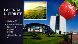 FAZENDA
NUTRILITE
• Ubajara-CE
• Maior plantação
de acerola
orgânica do
mundo
• 15,5 milhões de
m²
 