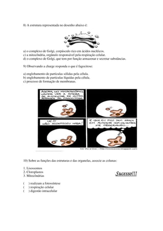8) A estrutura representada no desenho abaixo é:




a) o complexo de Golgi, corpúsculo rico em ácidos nucléicos.
c) a mitocôndria, orgânulo responsável pela respiração celular.
d) o complexo de Golgi, que tem por função armazenar e secretar substâncias.

9) Observando a charge responda o que é fagocitose:

a) englobamento de partículas sólidas pela célula.
b) englobamento de partículas líquidas pela célula.
c) processo de formação de membranas.




10) Sobre as funções das estruturas e das organelas, associe as colunas:

1. Lisossomos
2. Cloroplastos
3. Mitocôndrias
                                                                      Sucesso!!!
                                                                      Sucesso!!!
(   ) realizam a fotossíntese
(   ) respiração celular
(   ) digestão intracelular
 