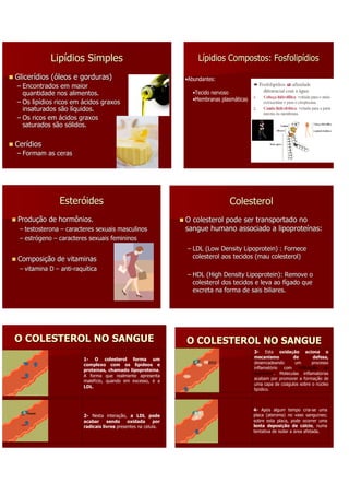 Lipídios Simples                                         Lípidios Compostos: Fosfolipídios
Glicerídios (óleos e gorduras)
Glicerí                                                         •Abundantes:
– Encontrados em maior
  quantidade nos alimentos.                                        •Tecido nervoso
                                                                   •Membranas plasmáticas
– Os lipídios ricos em ácidos graxos
      lipí
  insaturados são líquidos.
                    lí
– Os ricos em ácidos graxos
  saturados são sólidos.
                  só

Cerídios
Cerí
– Formam as ceras




               Esteróides                                                        Colesterol
Produção de hormônios.
Produç                                                          O colesterol pode ser transportado no
 – testosterona – caracteres sexuais masculinos                 sangue humano associado a lipoproteínas:
                                                                                             lipoproteí
 – estrógeno – caracteres sexuais femininos
   estró
                                                                – LDL (Low Density Lipoprotein) : Fornece
                                                                       (Low          Lipoprotein)
Composição de vitaminas
Composiç                                                          colesterol aos tecidos (mau colesterol)
 – vitamina D – anti-raquítica
                anti- raquí
                                                                – HDL (High Density Lipoprotein): Remove o
                                                                       (High          Lipoprotein):
                                                                  colesterol dos tecidos e leva ao fígado que
                                                                                                    fí
                                                                  excreta na forma de sais biliares.




O COLESTEROL NO SANGUE                                          O COLESTEROL NO SANGUE
                                                                                            3- Esta oxidação aciona o
                         1- O colesterol forma um                                           mecanismo         de       defesa,
                         complexo com os lipídeos e                                         desencadeando      um      processo
                                                                                            inflamatório com infiltração de
                         proteínas, chamado lipoproteína.
                                                                                            leucócitos. Moléculas inflamatórias
                         A forma que realmente apresenta
                                                                                            acabam por promover a formação de
                         malefício, quando em excesso, é a
                                                                                            uma capa de coágulos sobre o núcleo
                         LDL.
                                                                                            lipídico.



                                                                                            4- Após algum tempo cria-se uma
                         2- Nesta interação, a LDL pode                                     placa (ateroma) no vaso sanguíneo;
                         acabar     sendo     oxidada     por                               sobre esta placa, pode ocorrer uma
                         radicais livres presentes na célula.                               lenta deposição de cálcio, numa
                                                                                            tentativa de isolar a área afetada.
 