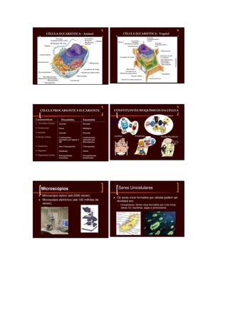 CÉLULA EUCARIÓTICA - Animal
                      EUCARIÓ                                                     CÉLULA EUCARIÓTICA - Vegetal
                                                                                         EUCARIÓ




     CÉLULA PROCARIONTE X EUCARIONTE                                  CONSTITUINTES BIOQUÍMICOS DA CÉLULA
                                                                                    BIOQUÍ         CÉ
                                                                                                                 Carboidratos
Características            Procariotos             Eucariotos       Água e
1. Envoltório Nuclear    Ausente                   Presente         Minerais

2. Cromossomo            Único                     Múltiplos

3. Nucléolo              Ausente                   Presente

4. Divisão Celular                                                     Lipídios            Proteínas              Ácidos Nucléicos
                         Cromossomos               Cromossomos
                         separados por ligação à   separados por
                         MP                        Microtúbulos                                                             O segredo
                                                                                                                            da vida!

5. Citoplasma            Sem Citoesqueleto         Citoesqueleto

6. Organelas             Nenhuma                   Várias

7. Organização Celular   Principalmente            Principalmente
                         Unicelular                Multicelular




      Microscópios                                                         Seres Unicelulares
       Microscópio óptico (até 2000 vezes);
                                                                         Os seres vivos formados por células podem ser
       Microscópio eletrônico (até 100 milhões de                        divididos em:
       vezes);                                                                 Unicelulares: Seres vivos formados por uma única
                                                                               célula. Ex: bactérias, algas e protozoários.
 
