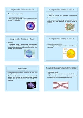Plano aula adriana fernandes iv