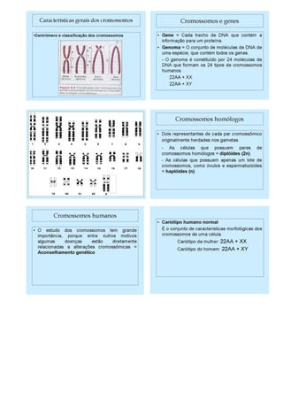 Plano aula adriana fernandes iv