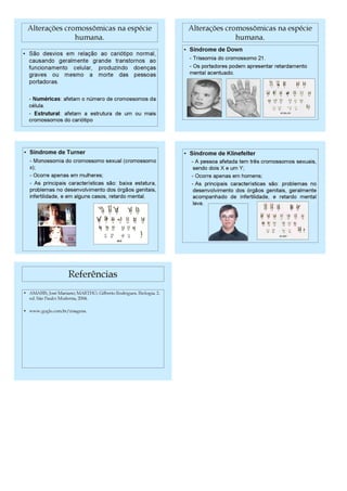 Plano aula adriana fernandes iv