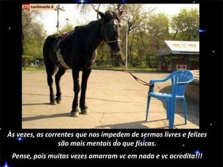 Às vezes, as correntes que nos impedem de sermos livres e felizes
são mais mentais do que físicas.
Pense, pois muitas vezes amarram vc em nada e vc acredita!!!
 
