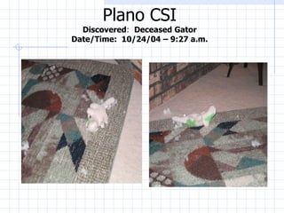 Plano CSI Discovered :  Deceased Gator Date/Time:  10/24/04 – 9:27 a.m. 