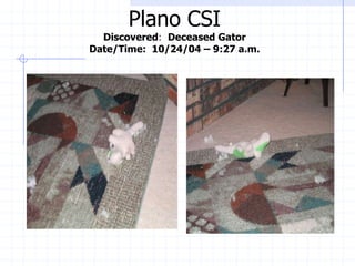 Plano CSI
  Discovered: Deceased Gator
Date/Time: 10/24/04 – 9:27 a.m.
 